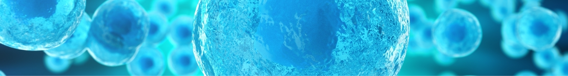 banner_E&amp;A